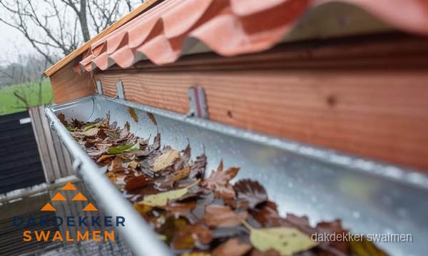 Dakgoot vol bladeren die gereinigd moet worden in Swalmen Dakgoot vol bladeren die gereinigd moet worden in Swalmen