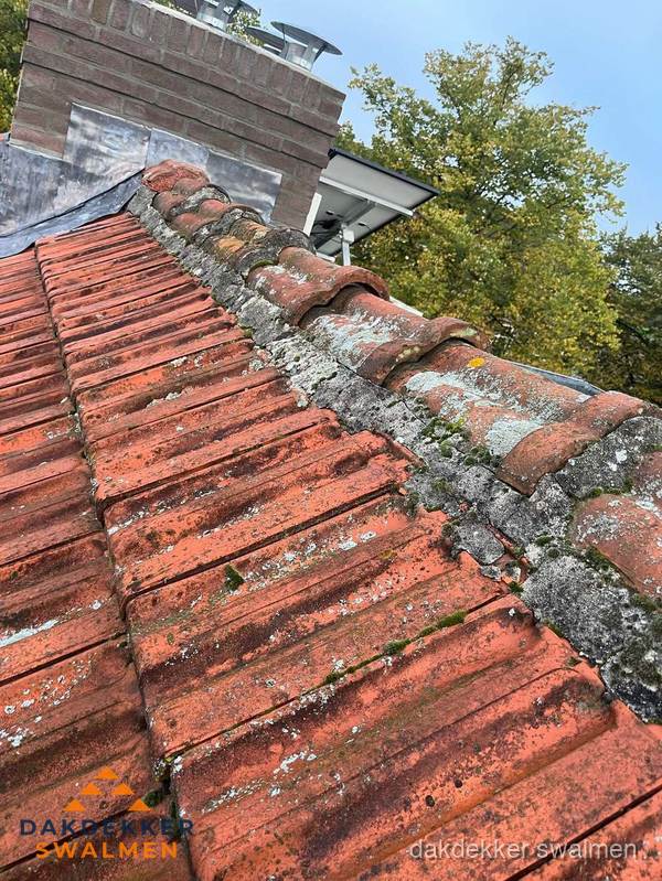 Verweerd hellend dak met mosgroei op nokvorst in Swalmen Verweerd hellend dak met mosgroei op nokvorst in Swalmen