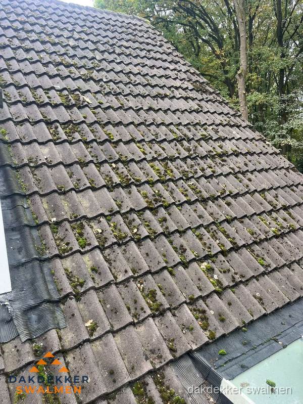 Verweerd pannendak met mosgroei dat renovatie nodig heeft in Swalmen Verweerd pannendak met mosgroei dat renovatie nodig heeft in Swalmen